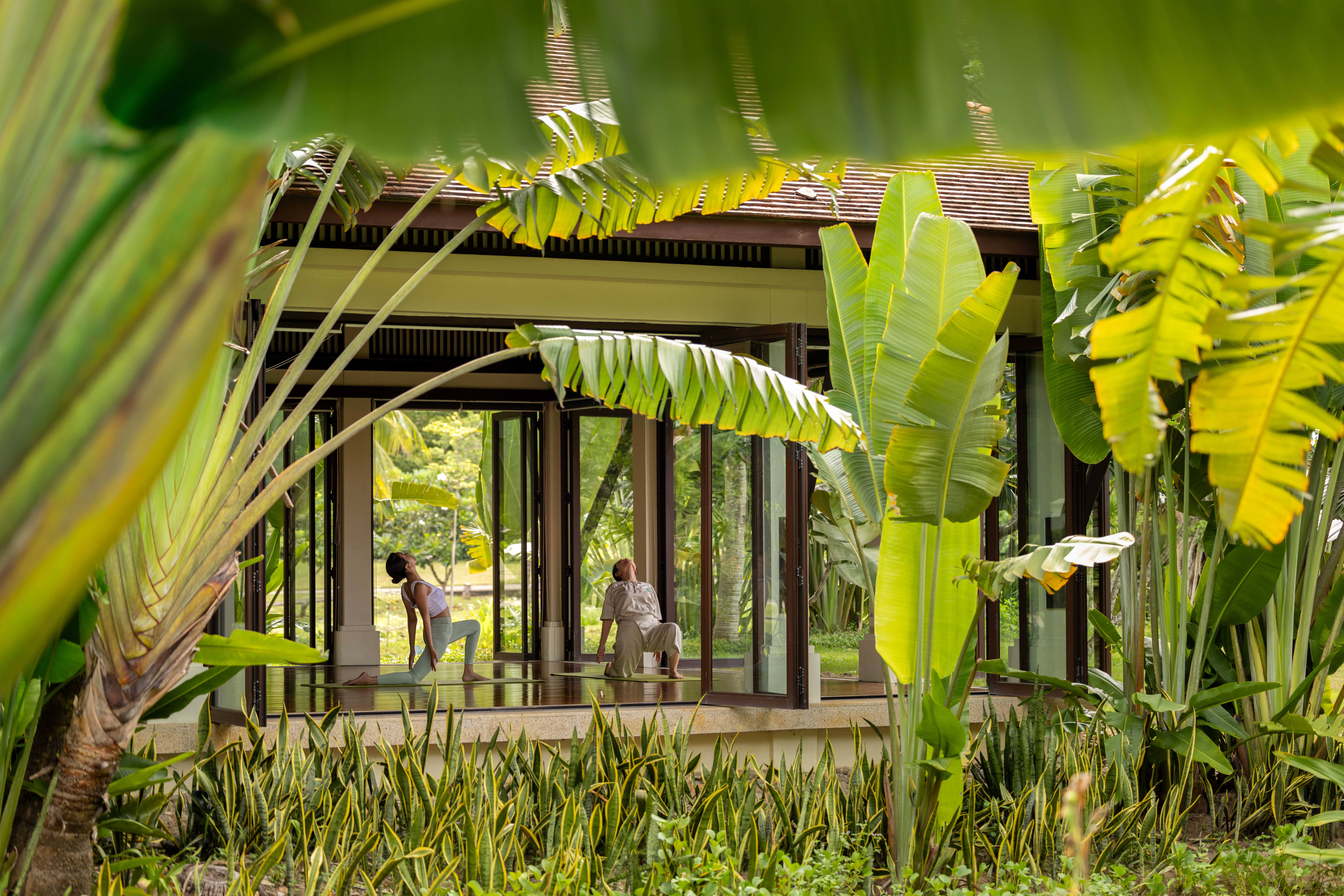 banyan tree lang co